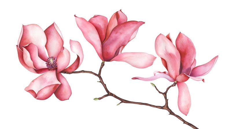 watercolor