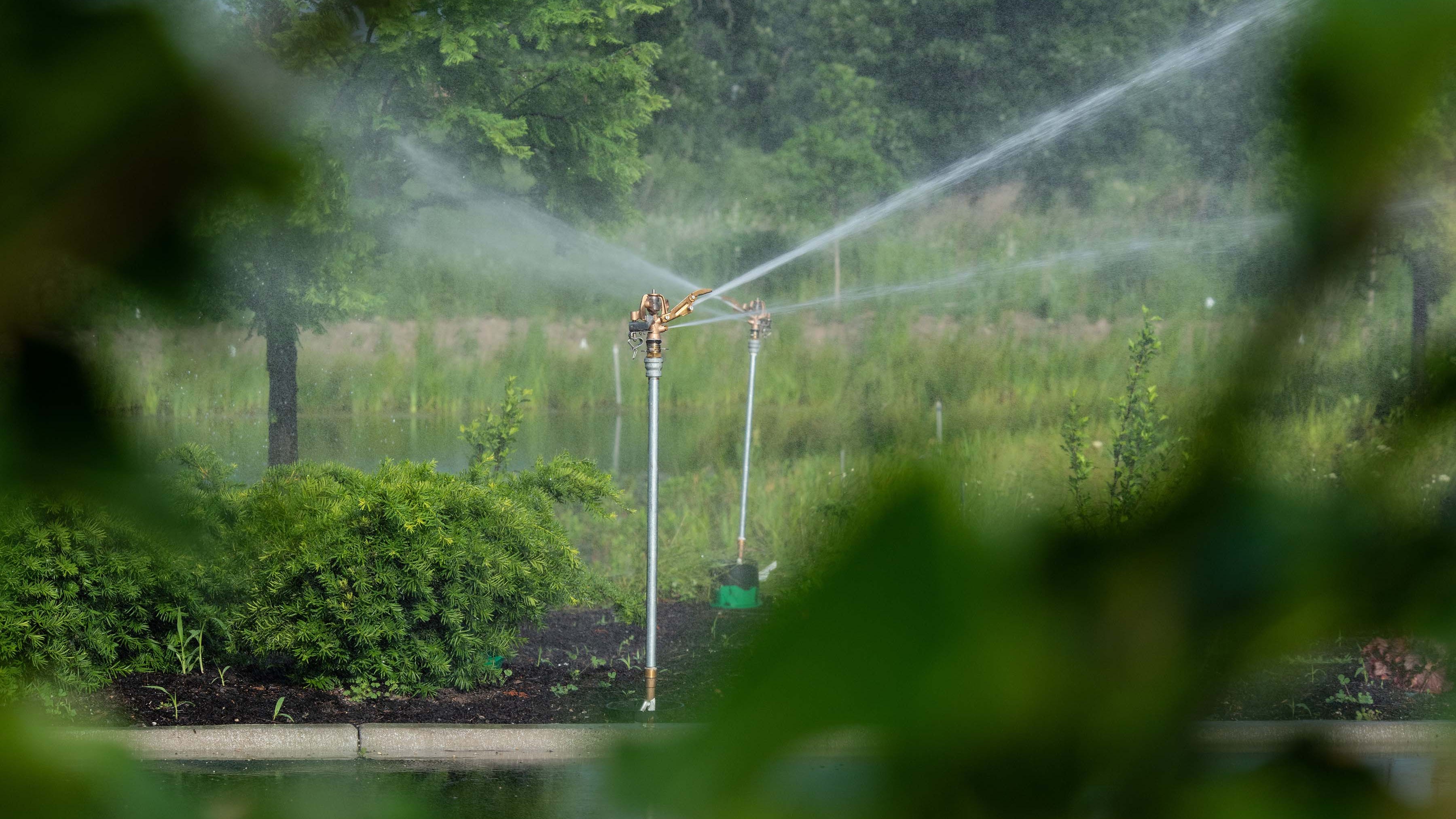 LISTEN: How to water your garden correctly