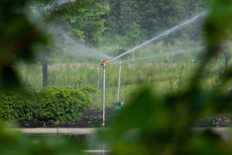 watering your garden