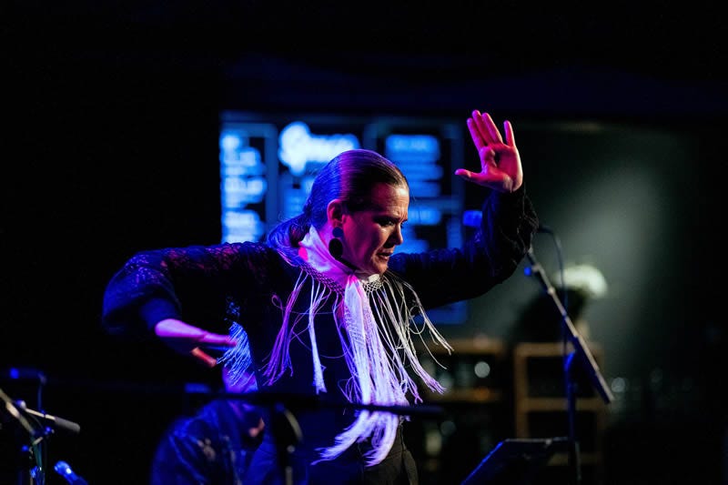 Flamenco dancer