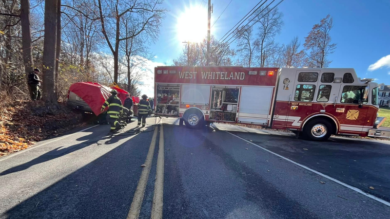Tree falls on car in West Chester, killing 30-year-old driver and injuring child