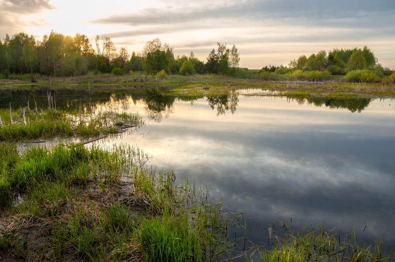 Duke Energy helping to protect the wetlands in Unity Park in Greenville with a $500,000 donation.
