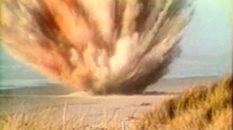 Osterlind: Town Renames Park After Whale That Was Blown Up