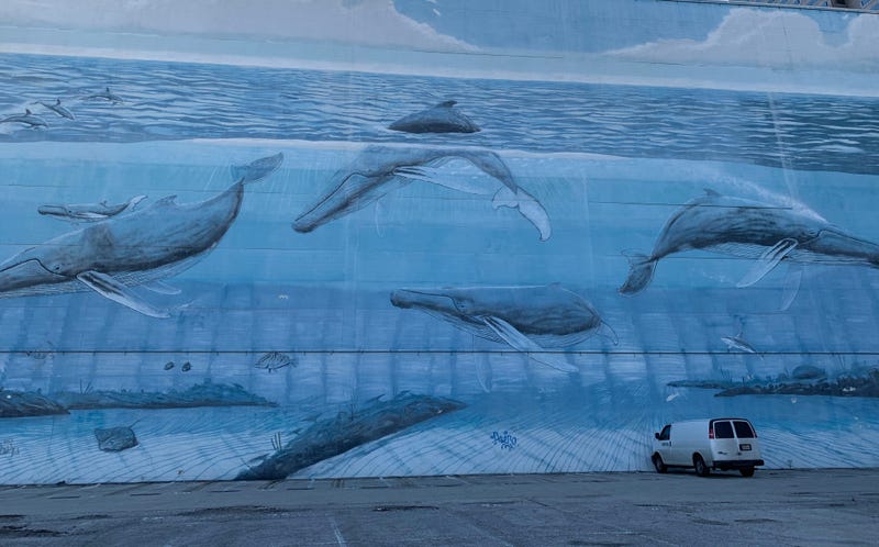Whaling Walls