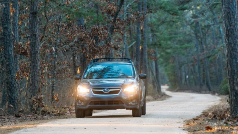 A road in Wharton State Forest.