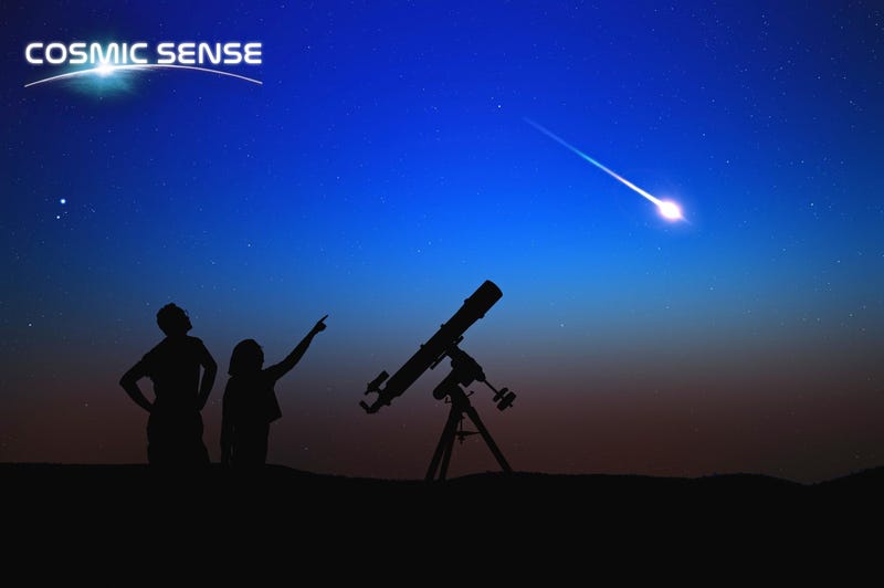 Two people looking up and pointing at a shooting star 