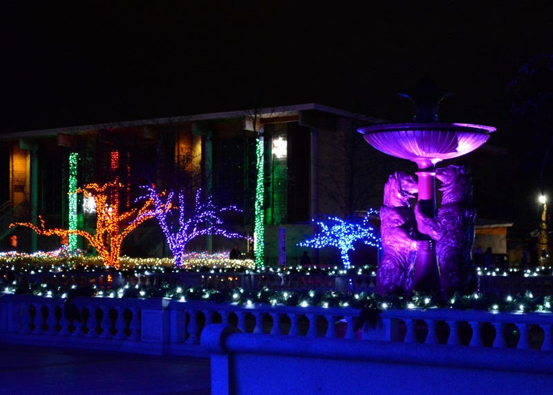 wild lights at the Detroit Zoo
