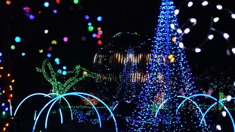 Detroit Zoo's 'Wild Lights' returns next week – Get your tickets now