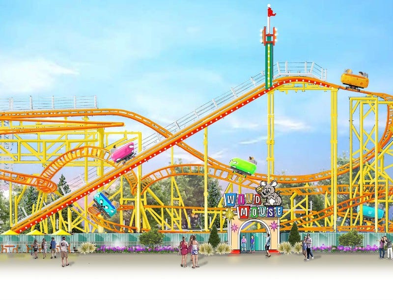 Cedar Point Wild Mouse