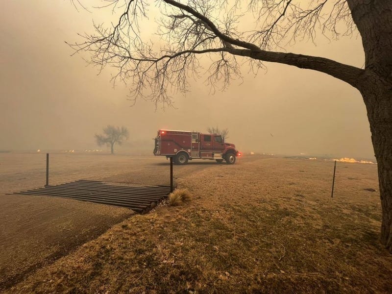 WILDFIRE