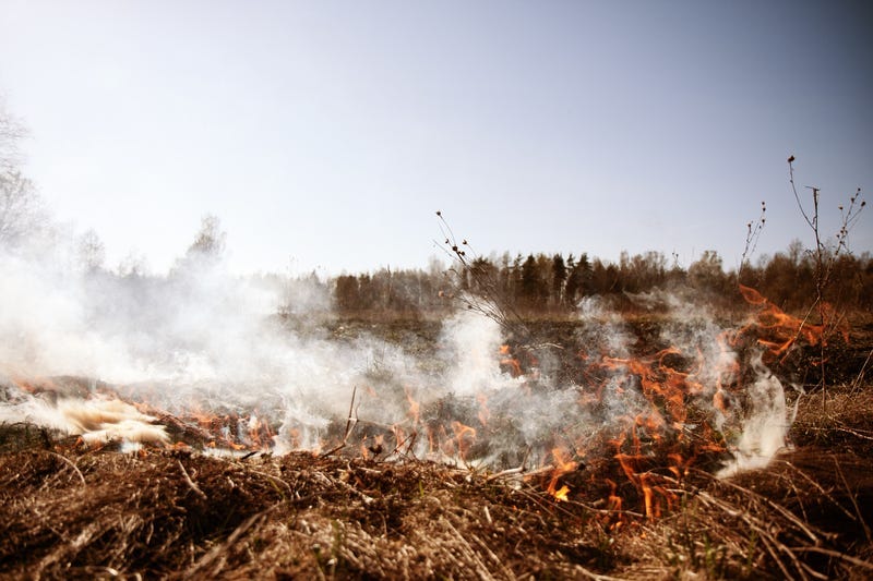 wildfire