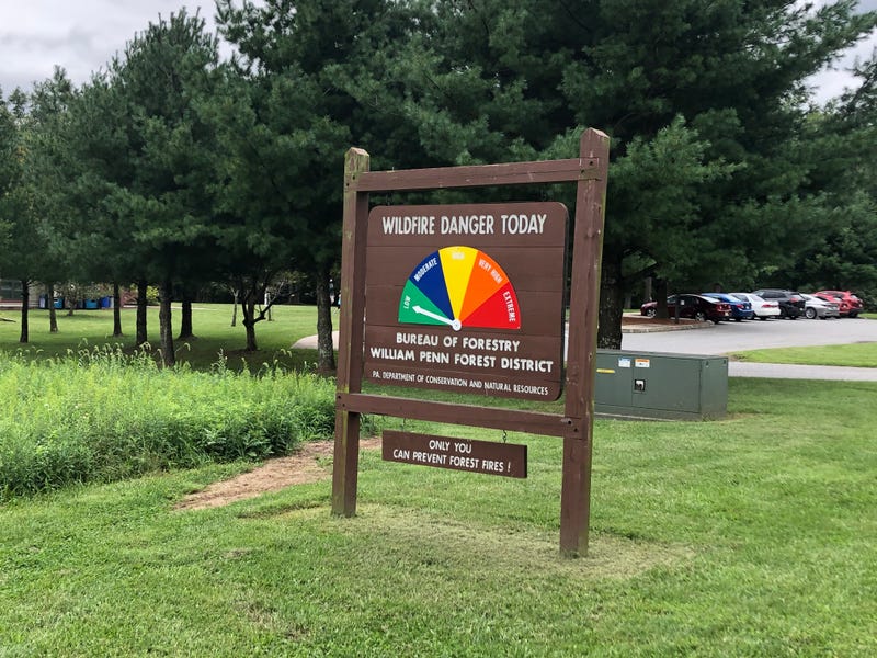 A sign shows a low danger of forest fire