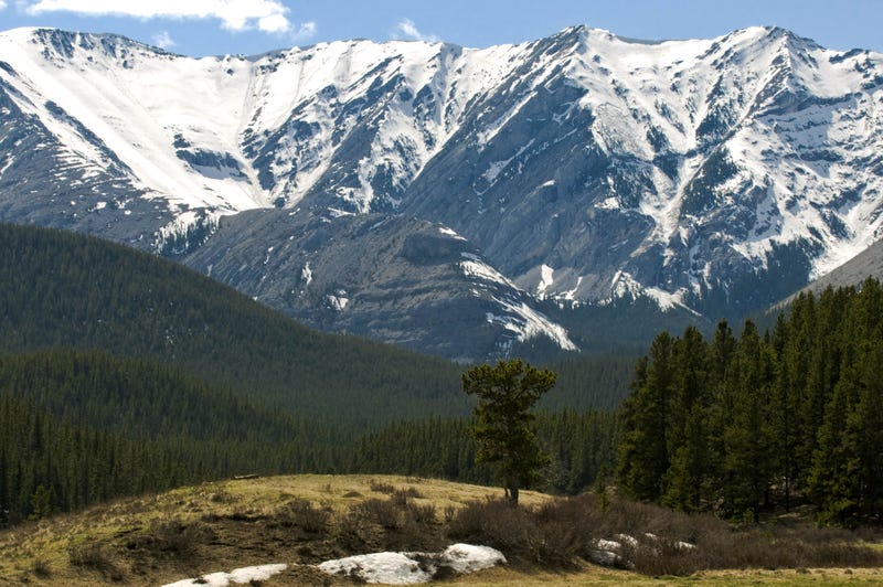 Wildland Glacier in Alaska