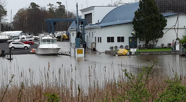 Wilson Harbor Flooding