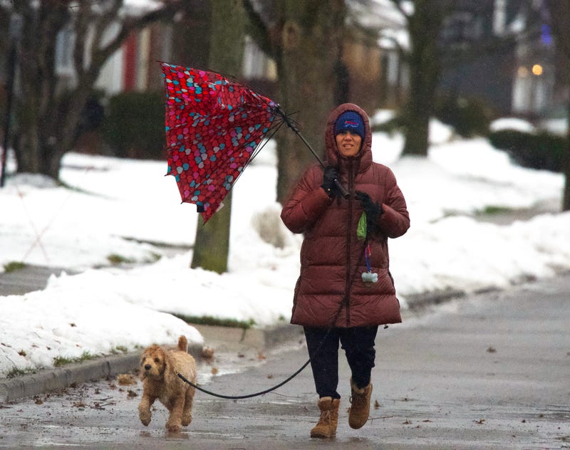 Buffalo Weather