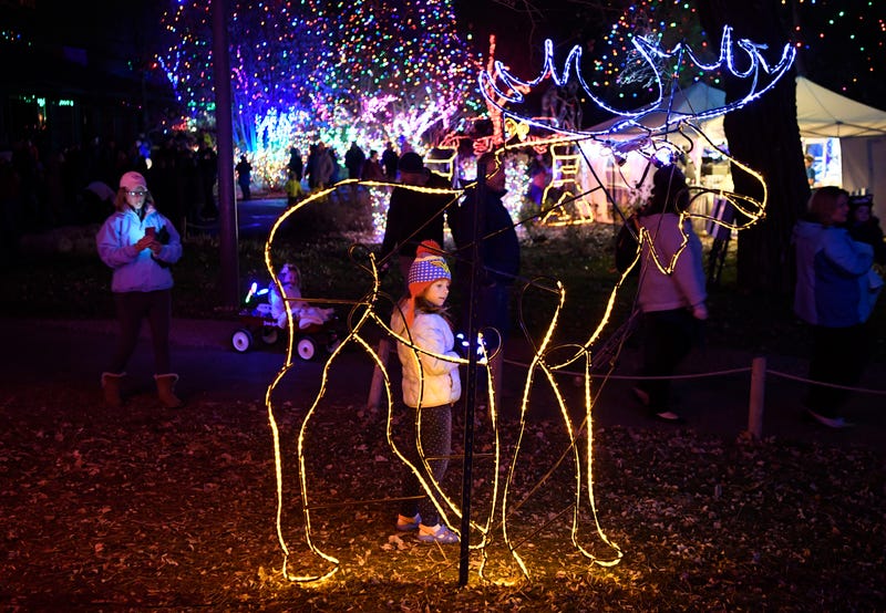 The annual Zoo Lights instillation at the Denver Zoo