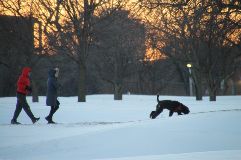 chicago snow