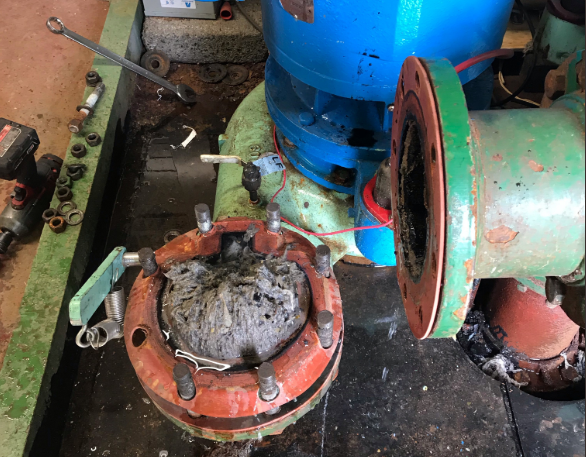 Water pipes clogged with flushable wipes