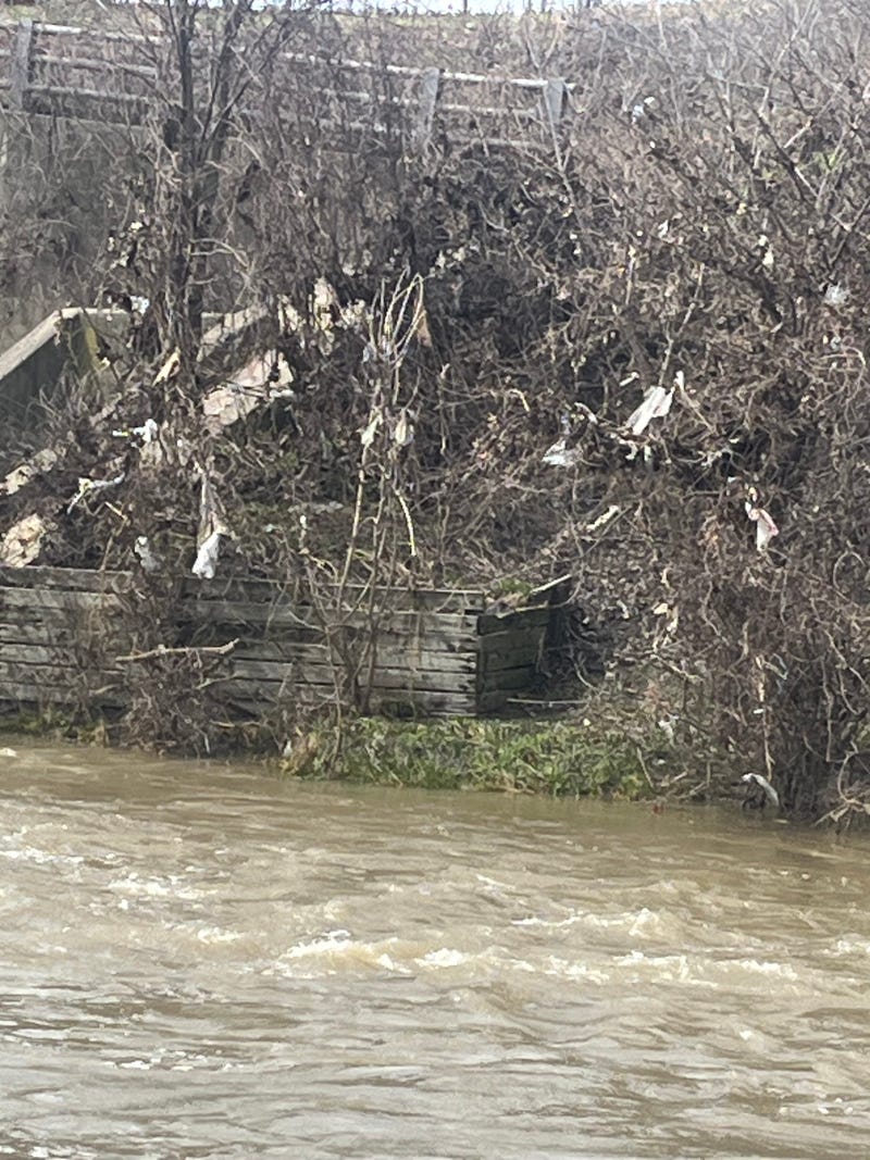 Wipes are seen caught in trees along the Red Run. 