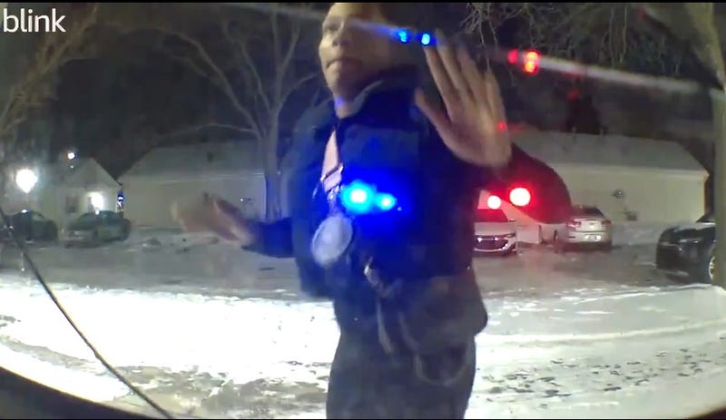 screenshot of blink camera video showing the suspect