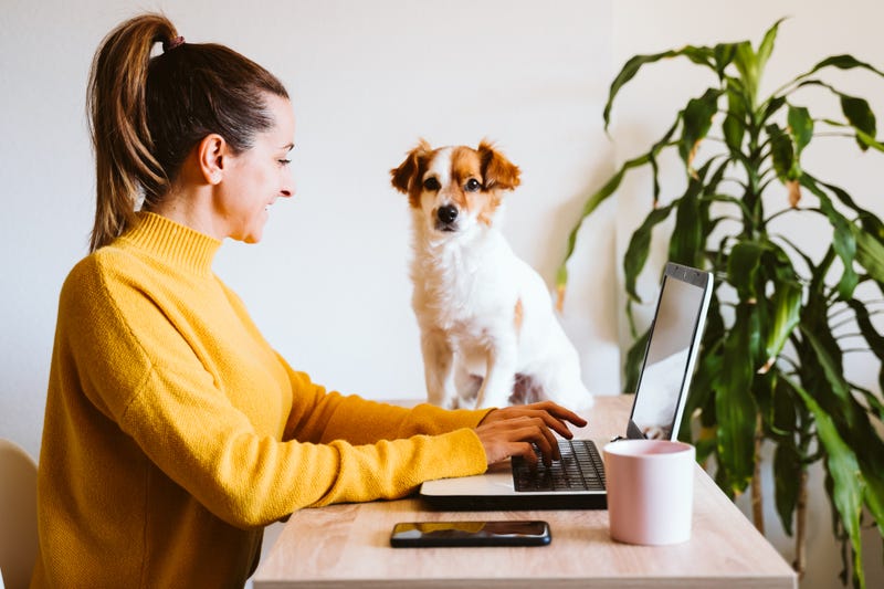 work from home