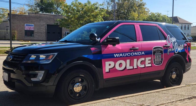 Wauconda Police Department