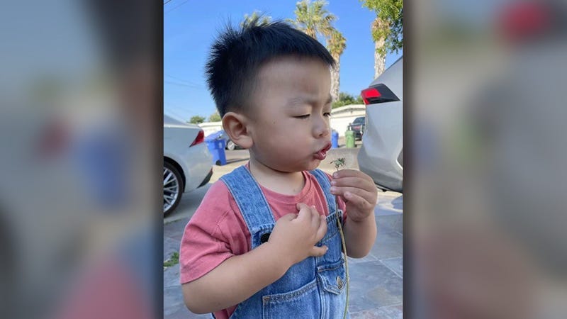 23-month-old Jasper Wu was shot and killed by a stray bullet in broad daylight on Saturday, Nov. 6, 2021.
