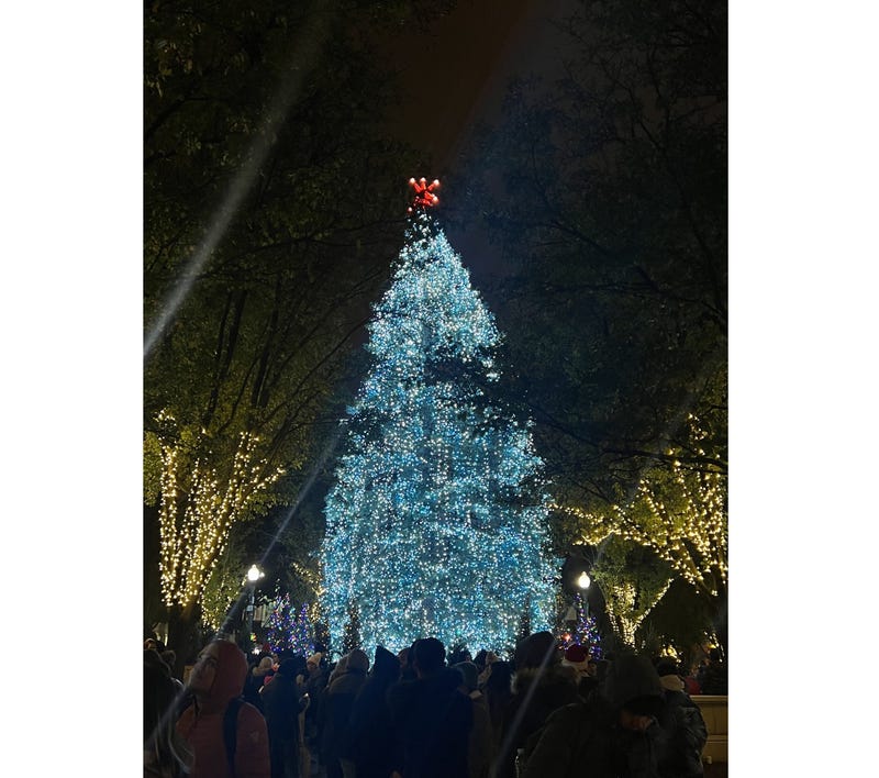 City of Chicago Christmas Tree