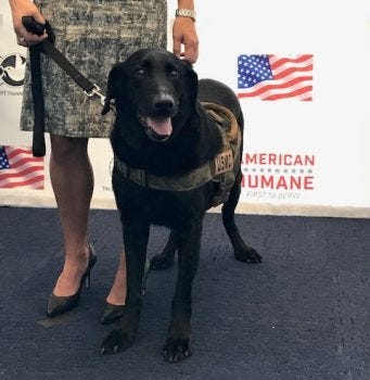 Sgt. Yeager