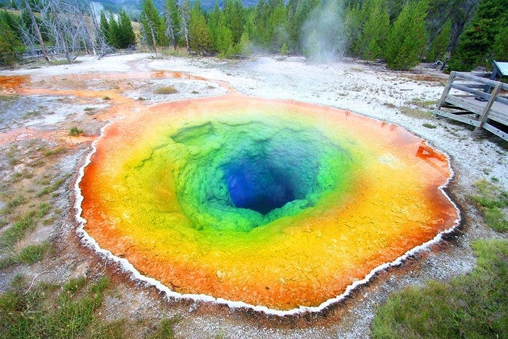 Man arrested for cooking chicken in hot springs at Yellowstone National Park