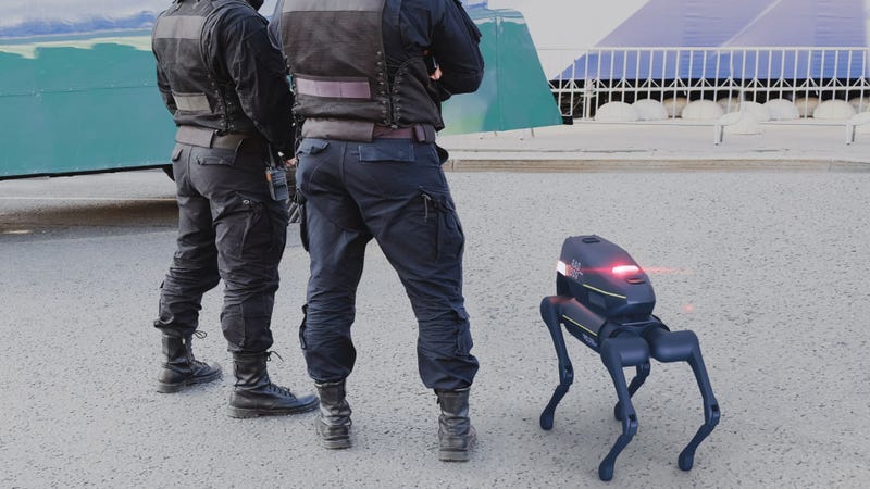 RAD Security robot dog