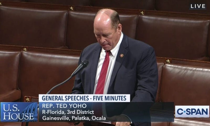 Fla. 3rd Rep. Ted Yoho on the House flood Wednesday July 22, 2020.
