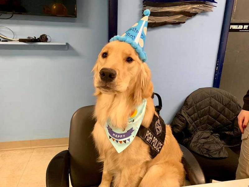 Zane Birthday Celebration