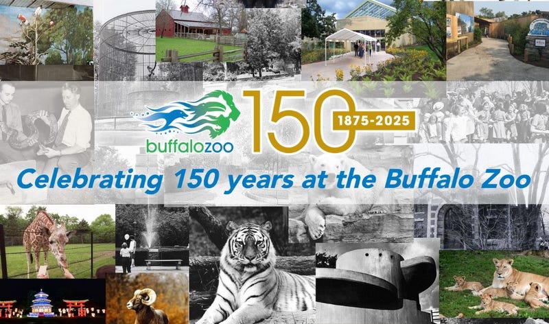 Zoo