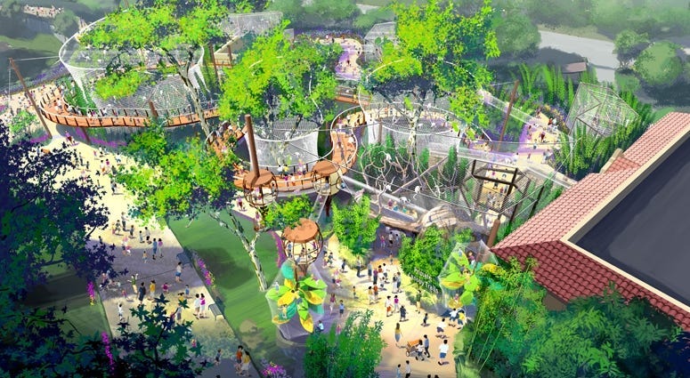 Primate Canopy Trails