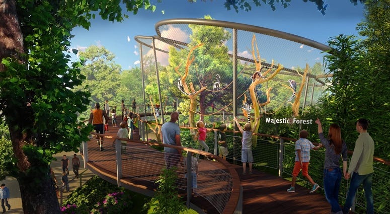 Primate Canopy Trails