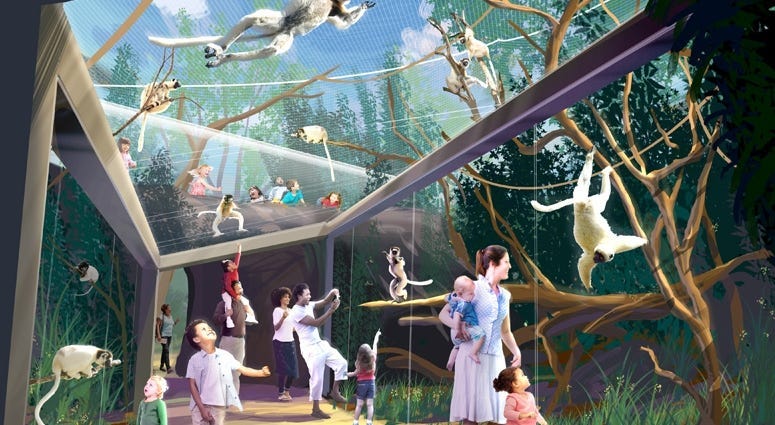 Primate Canopy Trails