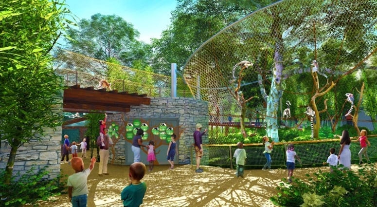 Primate Canopy Trails