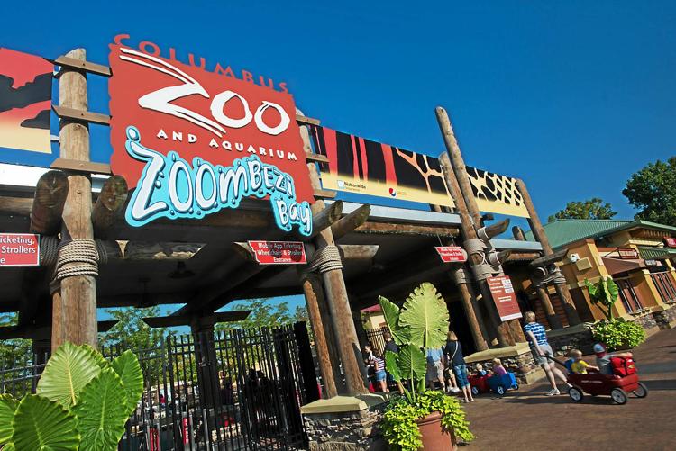 Ohio zookeeper attacked by cheetah