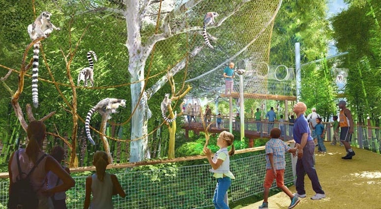 Primate Canopy Trails