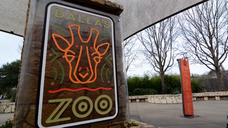 Dallas Zoo offering $10k reward for info about 'disturbing' death of endangered vulture