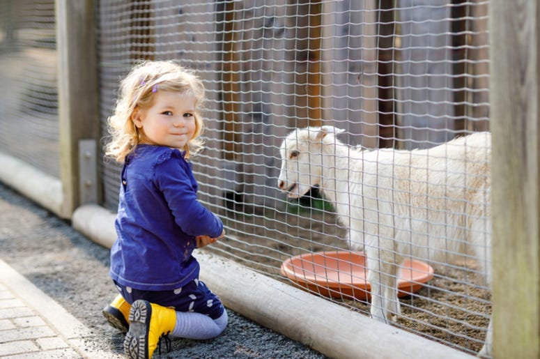 Zoo