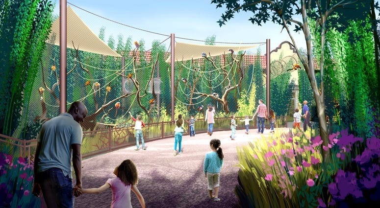 Primate Canopy Trails