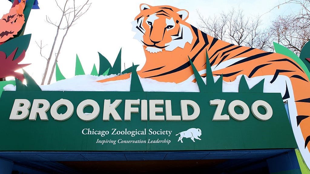 Brookfield Zoo to become concert venue this summer