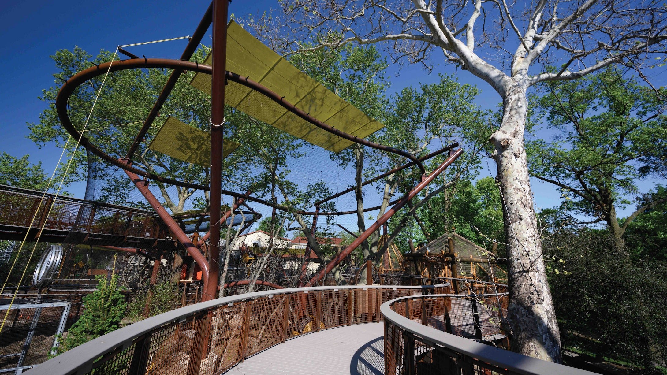 PHOTOS: First-of-its-kind canopy trails exhibit opens at Saint Louis Zoo next month