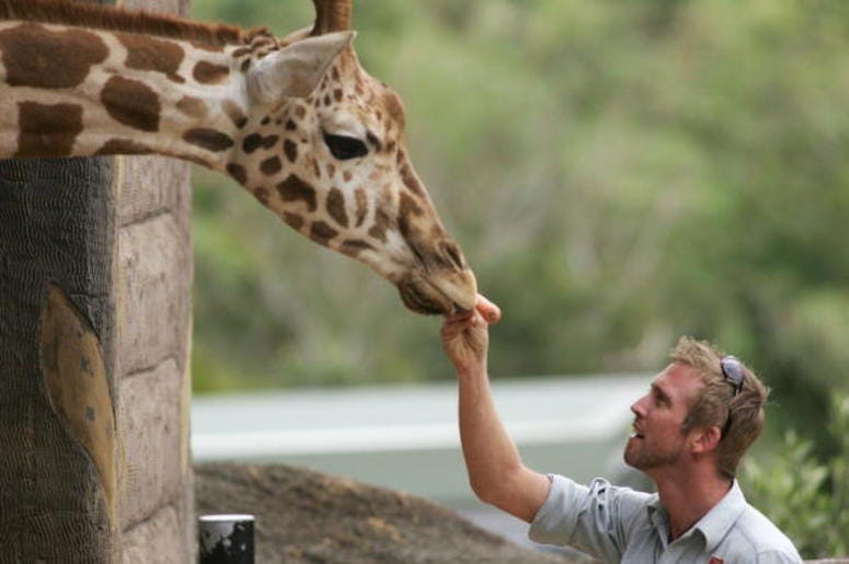 Zookeeper