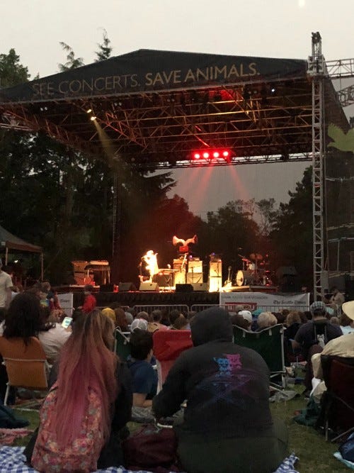 Concert crowd at ZooTunes in front of the lighted stage at night