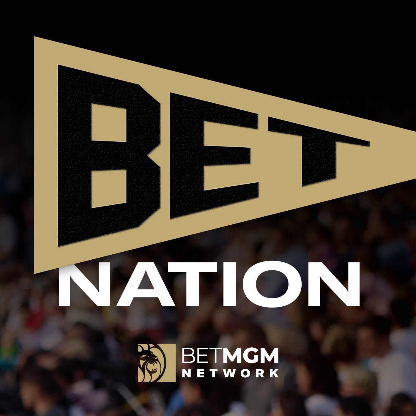 Betnation logo