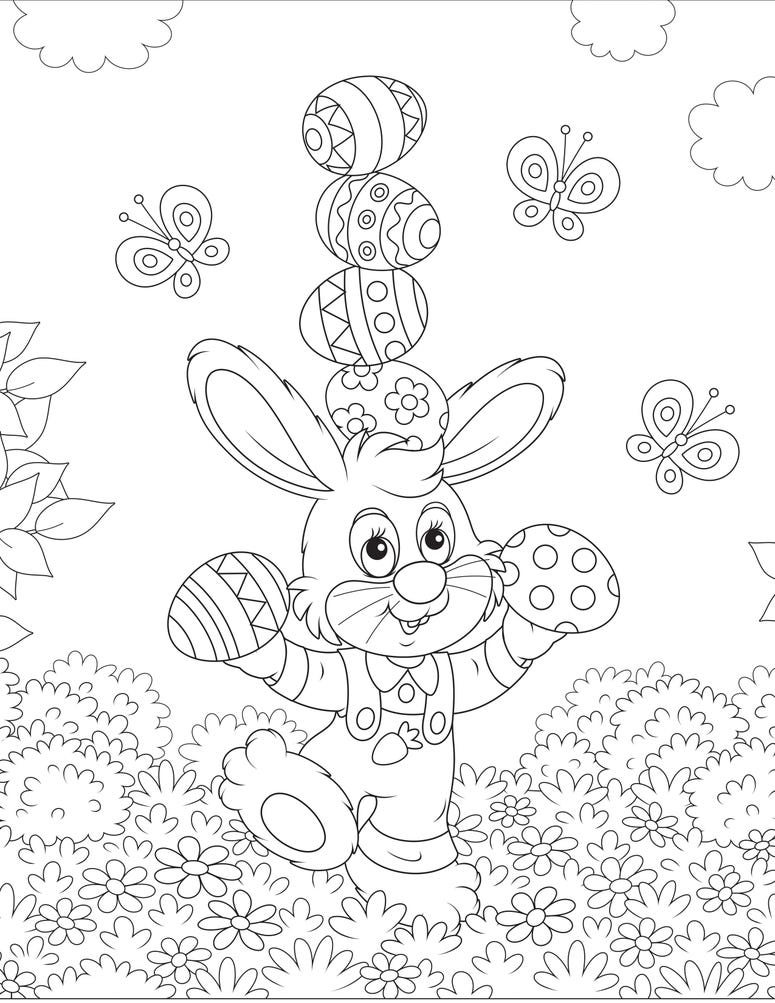 Bunny 