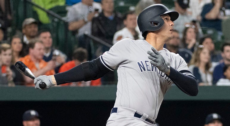 Greg Bird